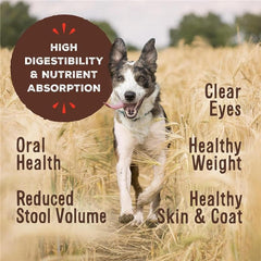 Primal Pet Foods Nuggets lapin — sans céréales, solution pratique et nutritive