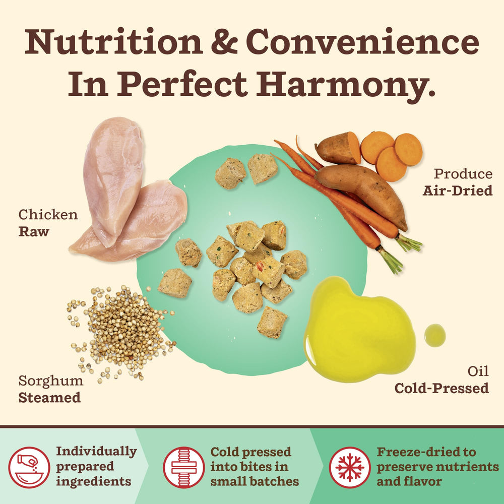 Primal Pet Foods - recette poulet protéine crue, chien actif