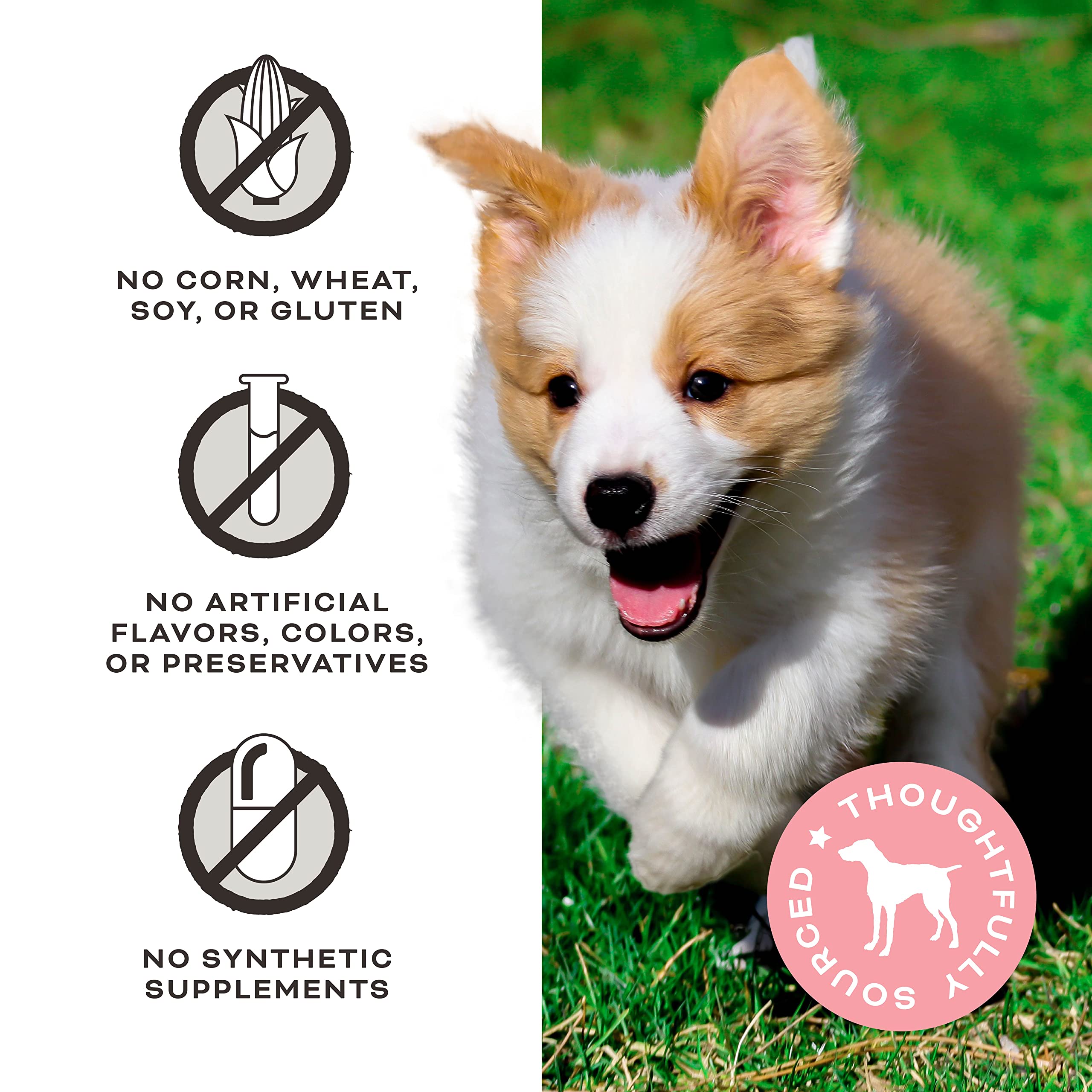 Texture croustillante de Primal You Maple My Day appréciée par les chiens