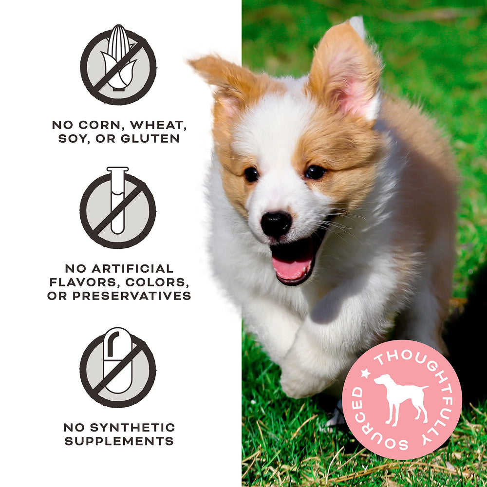 Texture croustillante de Primal You Maple My Day appréciée par les chiens