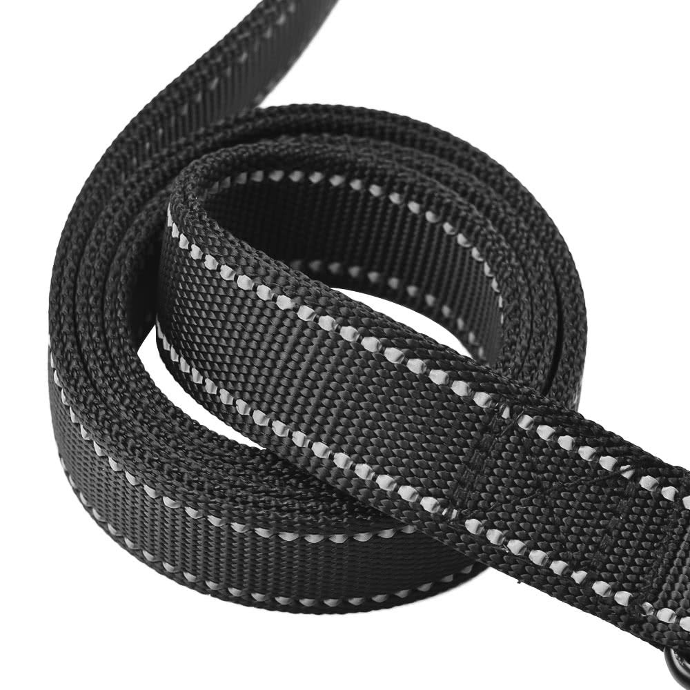 Primal Pet Gear longe en nylon robuste et durable pour les sorties quotidiennes avec votre chien.
