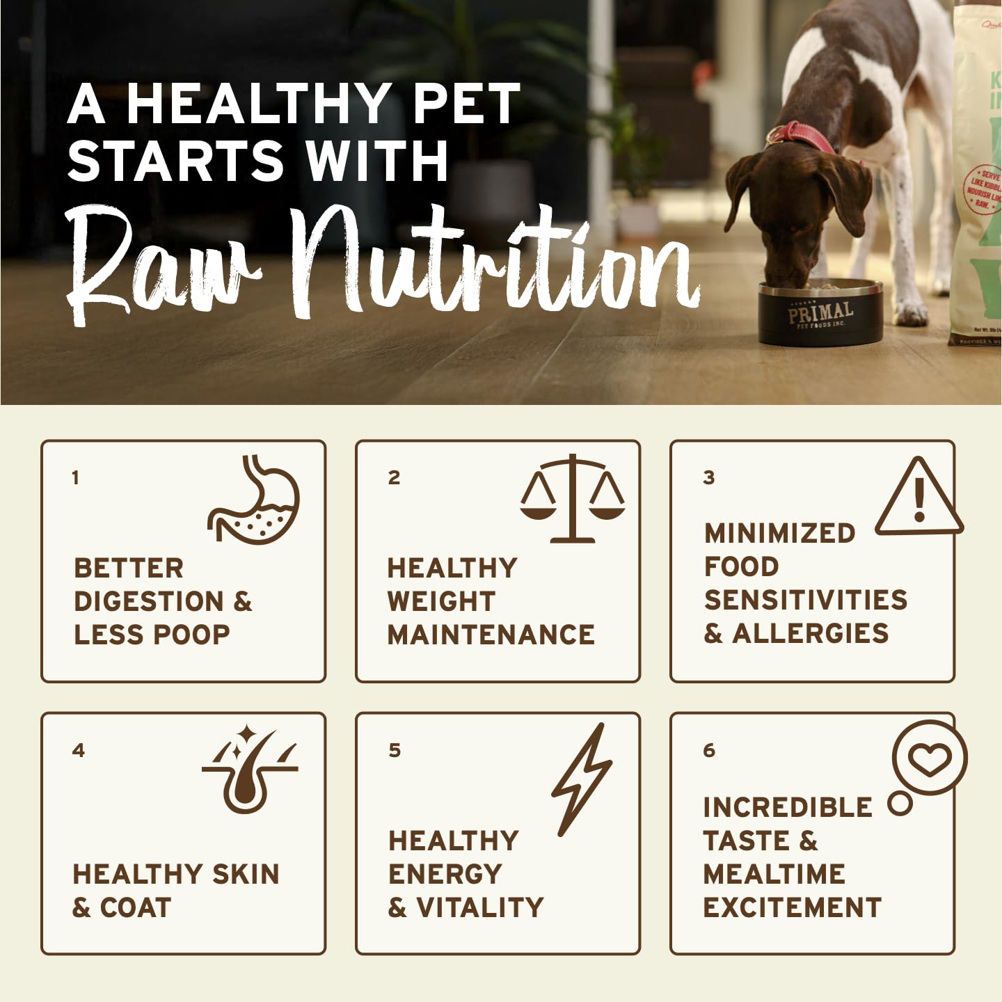 Le mélange avec eau chaude crée un topper nourrissant Primal.