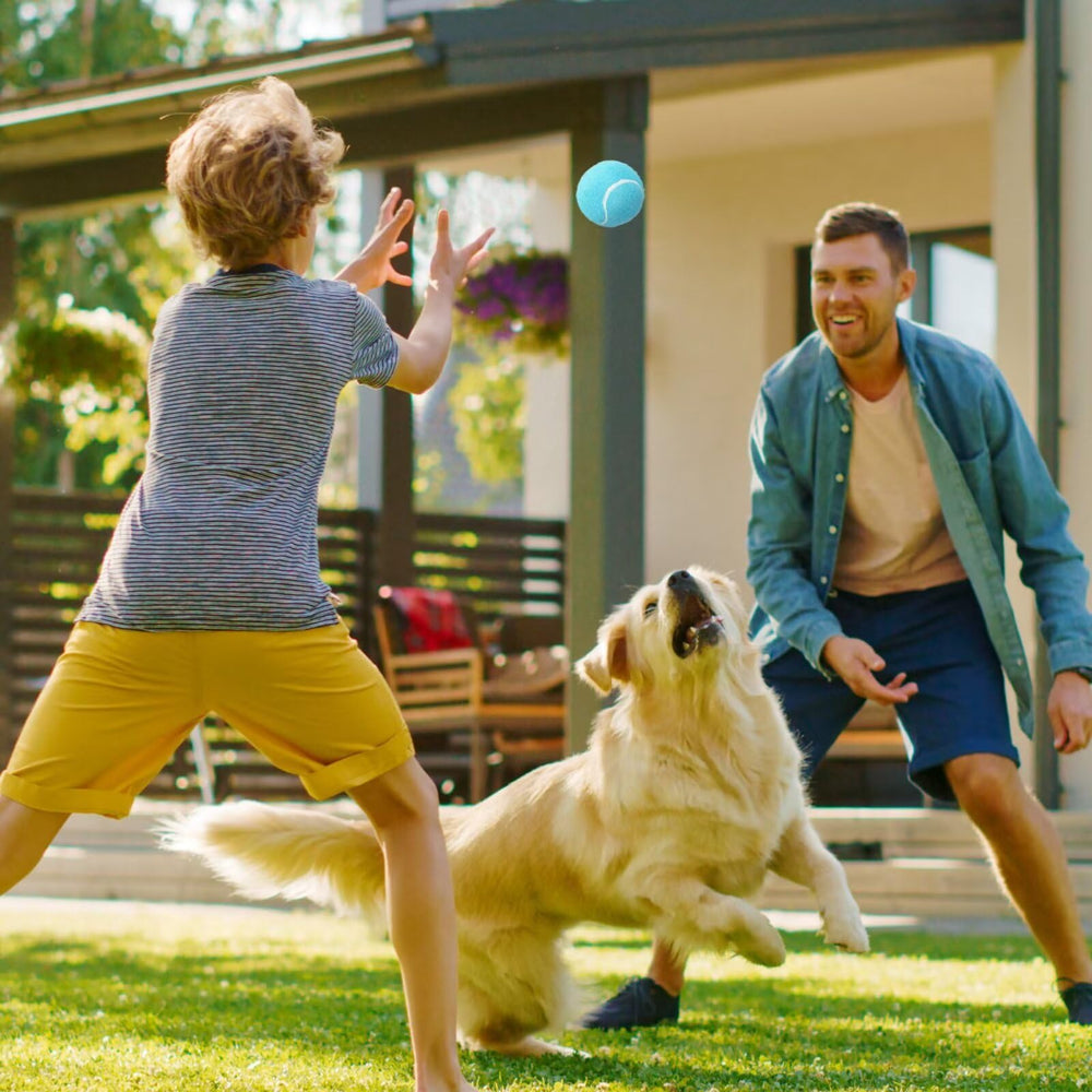 Prime Pets: balle tennis intérieur silencieuse, protège les sols.
