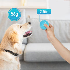 Prime Pets balle tennis jaune pour faciliter le ramassage lors des séances de récupération