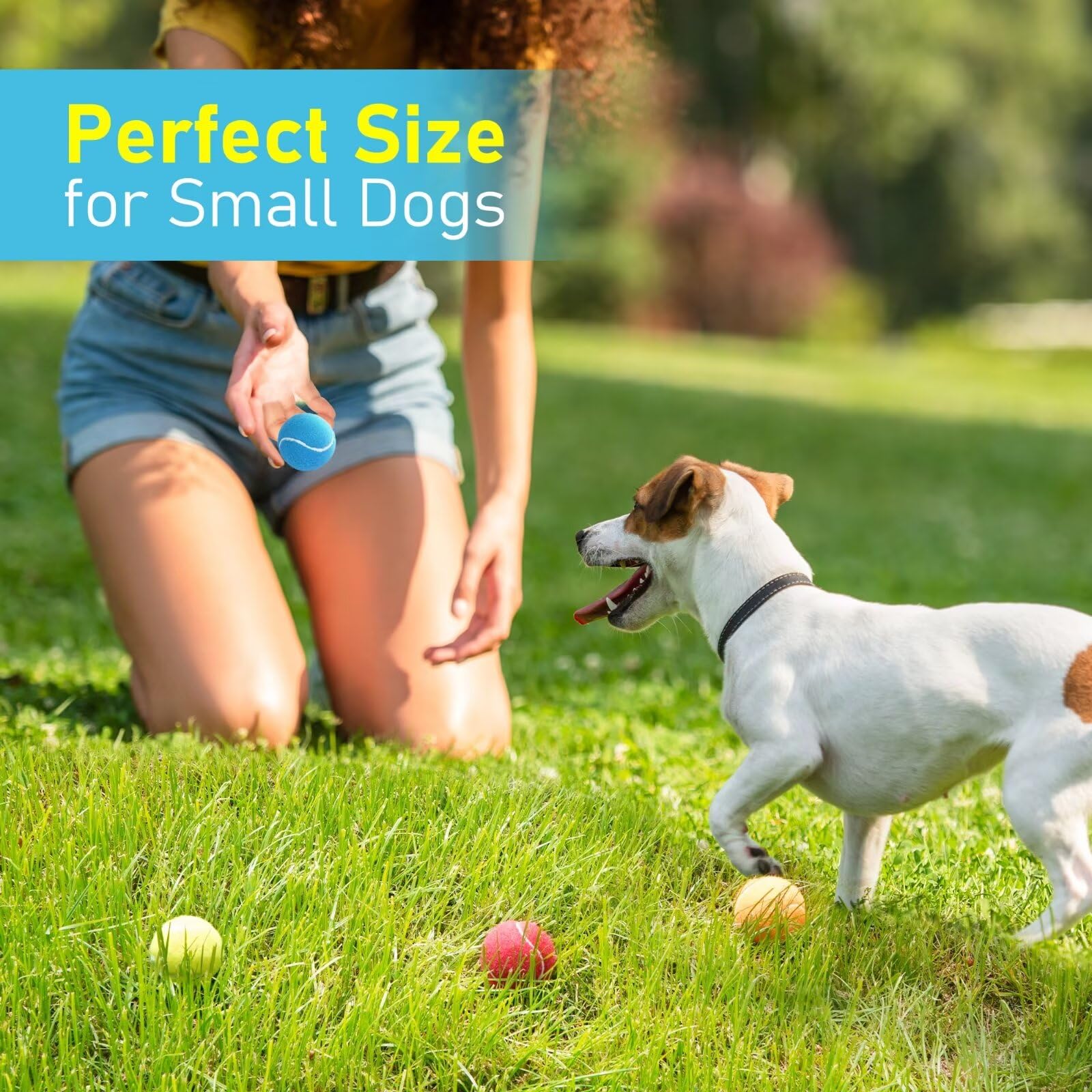 Prime Pets balle silencieuse: adaptée aux appartements et réduction du bruit.