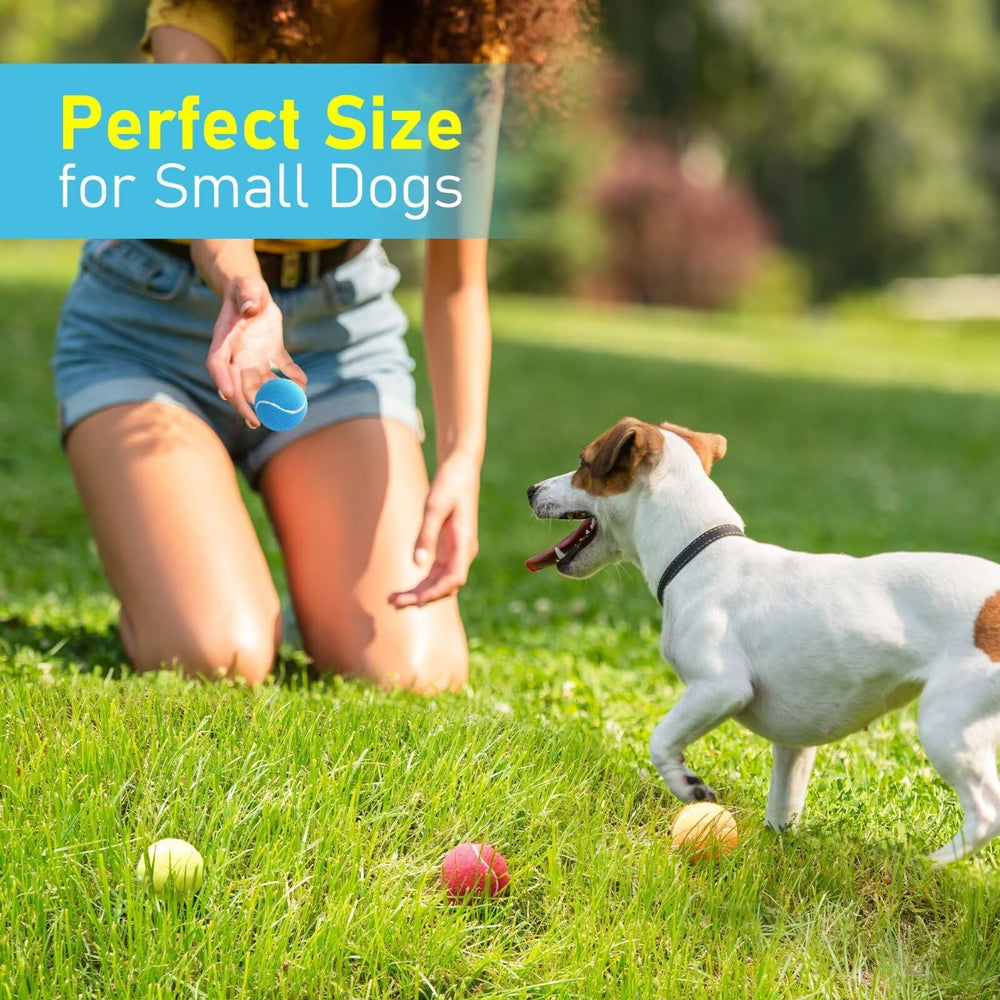 Prime Pets balle silencieuse: adaptée aux appartements et réduction du bruit.