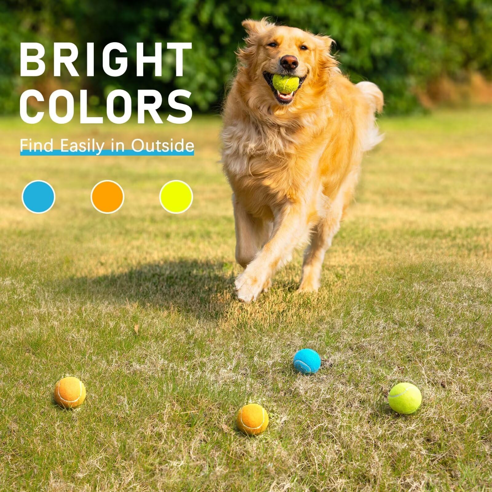 Prime Pets balle tennis flottante sur l'eau pour jeux en plein air