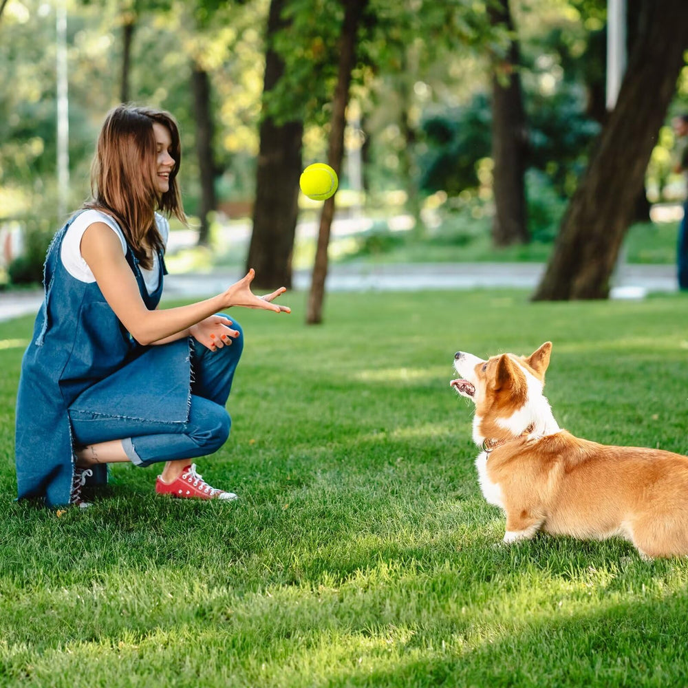 Conception douce et feutre des balles Prime Pets protégeant sols et bruits