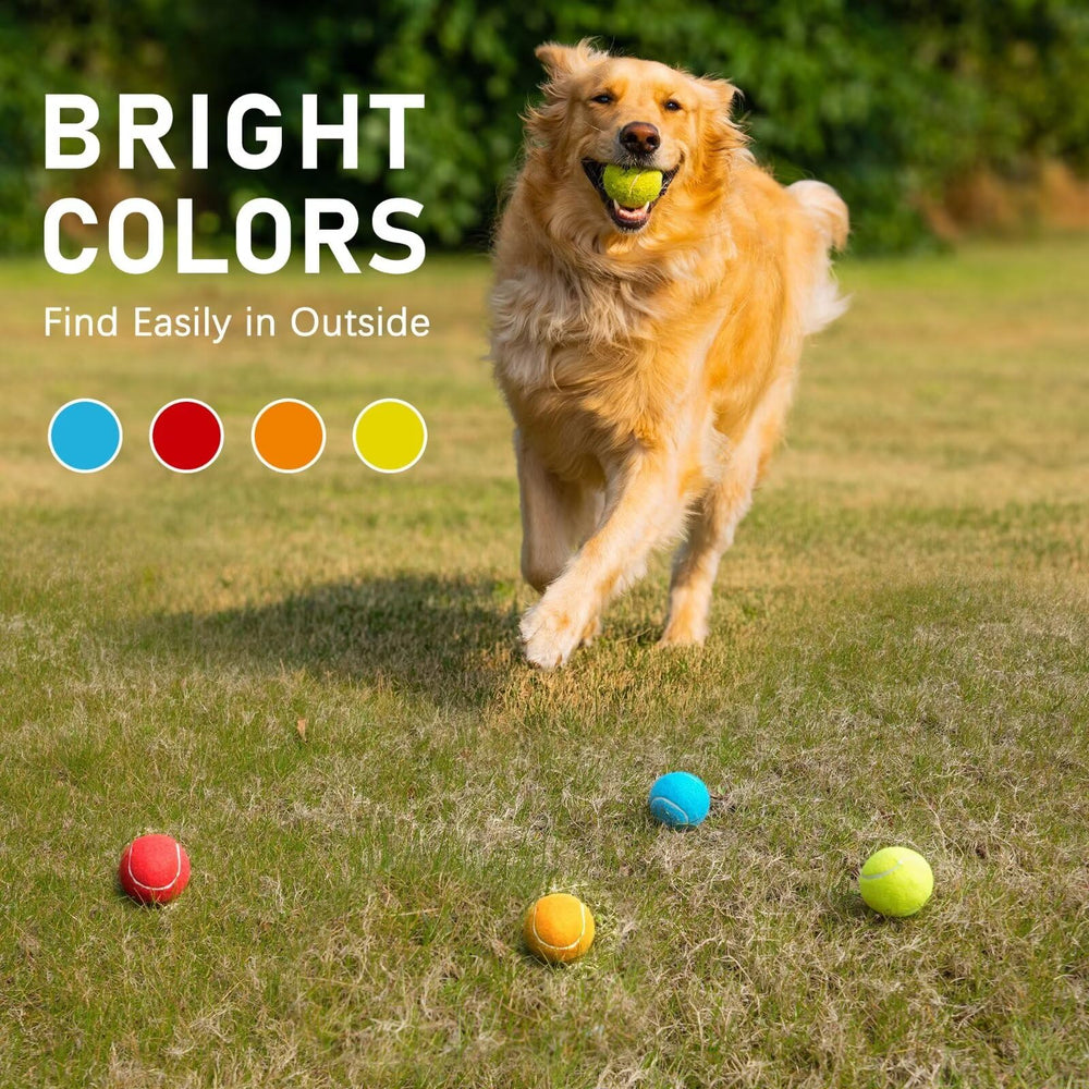 Joueur en plein air utilisant les balles Prime Pets pour des activités interactives