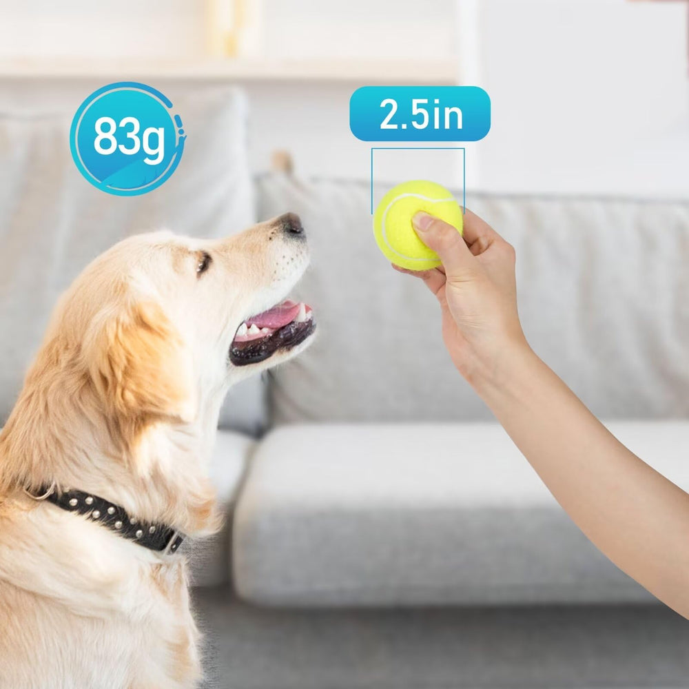 Taille adaptée aux chiens moyens comme Beagle, Bouledogue français et Cocker