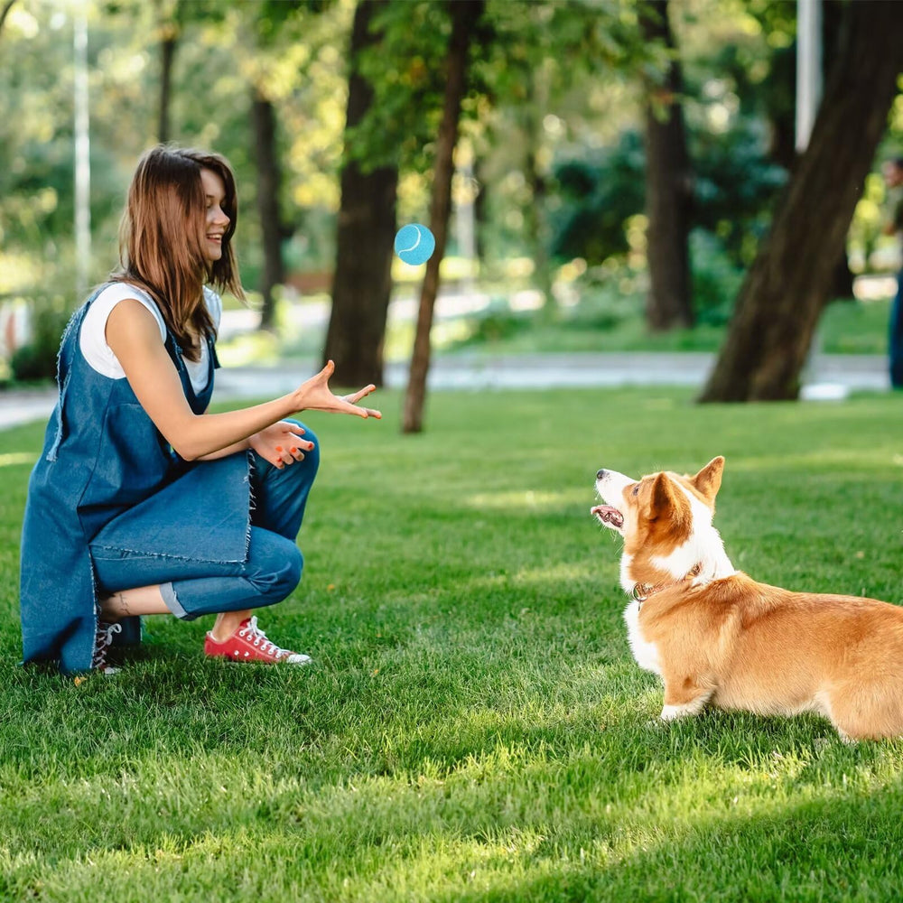 Prime Pets balle-tennis design silencieux protège sols et meubles.