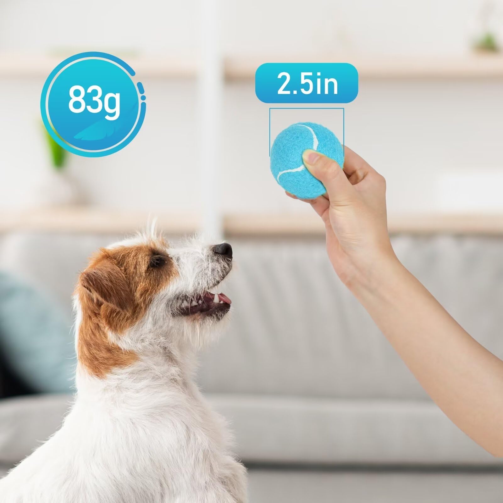 Prime Pets balle-tennis taille adaptée pour petits et moyens chiens.