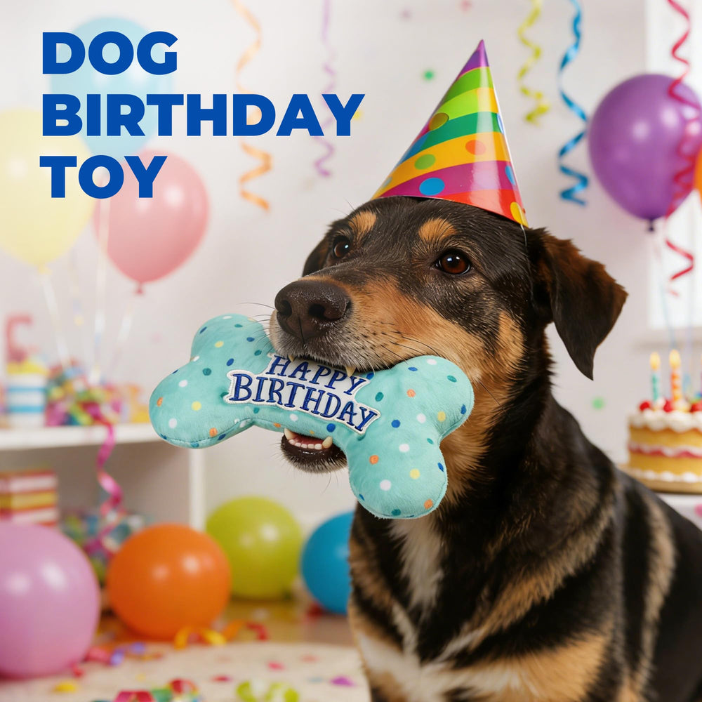 Prime Pets cadeau-jouet-chien-anniversaire: cadeau parfait pour les amateurs de chiens