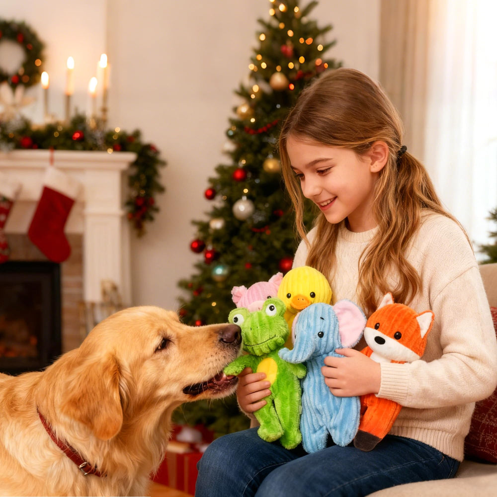Prime Pets coutures renforcées, peluche robuste avec yeux brodés pour sécurité.