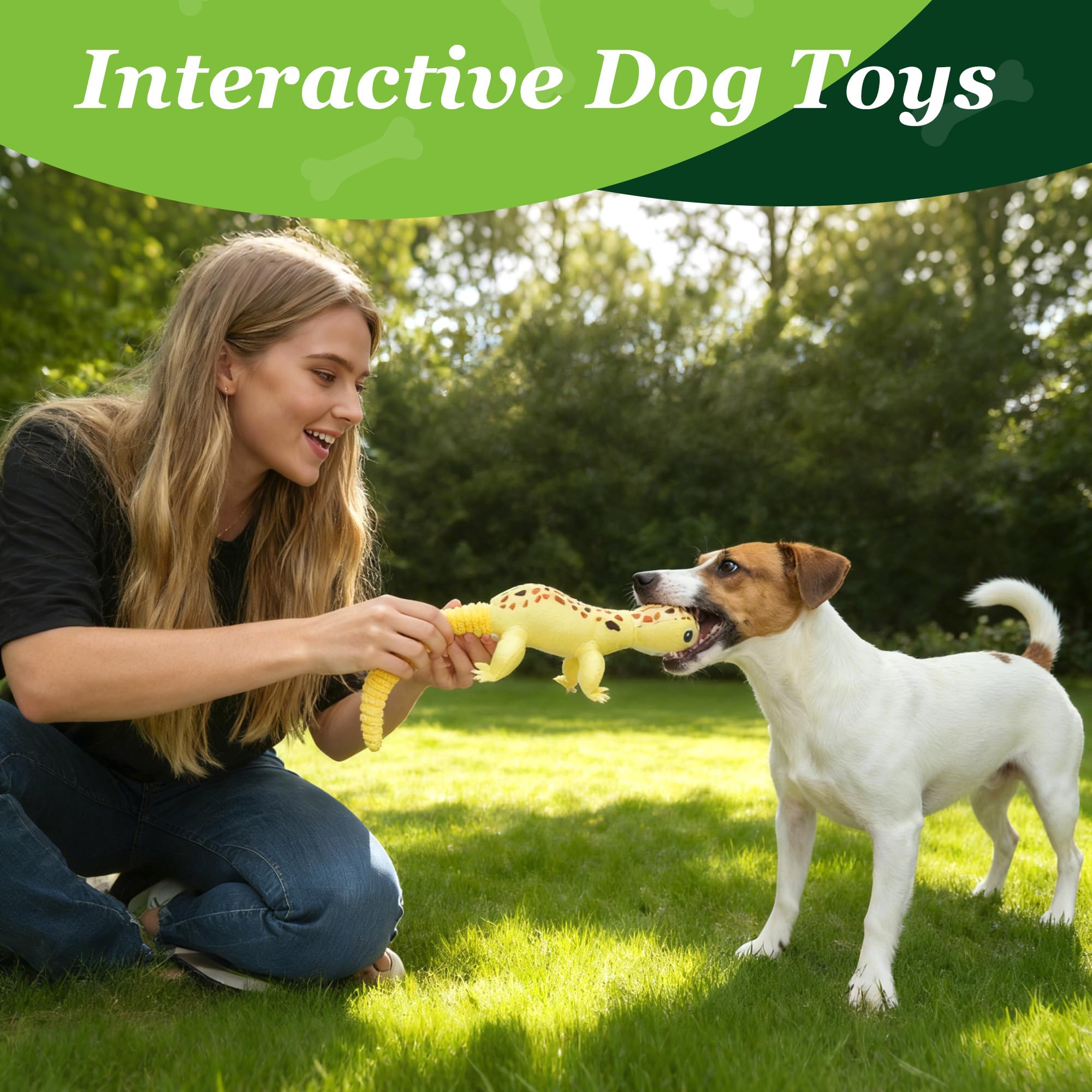 Ensemble de 5 jouets Prime Pets, pack polyvalent pour chiens de toutes tailles.