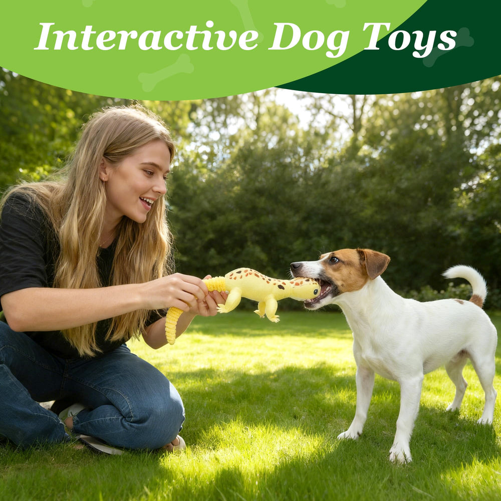 Ensemble de 5 jouets Prime Pets, pack polyvalent pour chiens de toutes tailles.