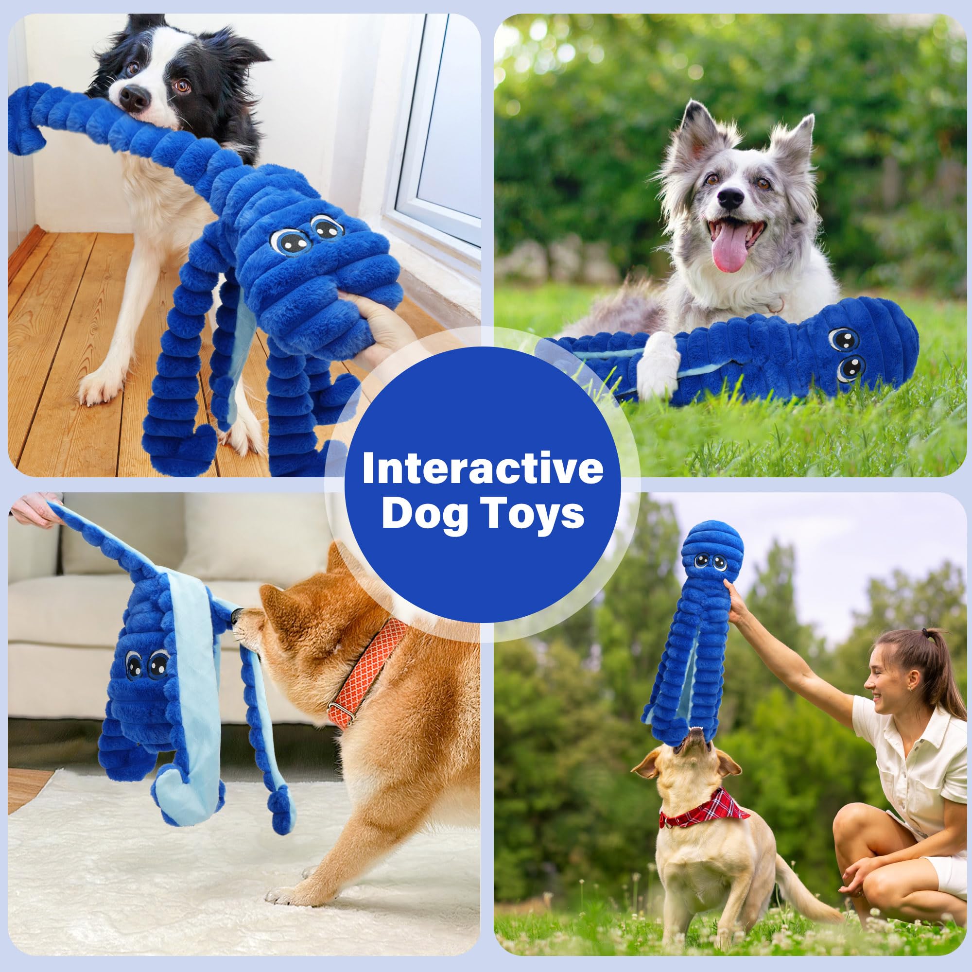 Jouet Prime Pets, cadeau parfait pour les chiens, divertissement durable