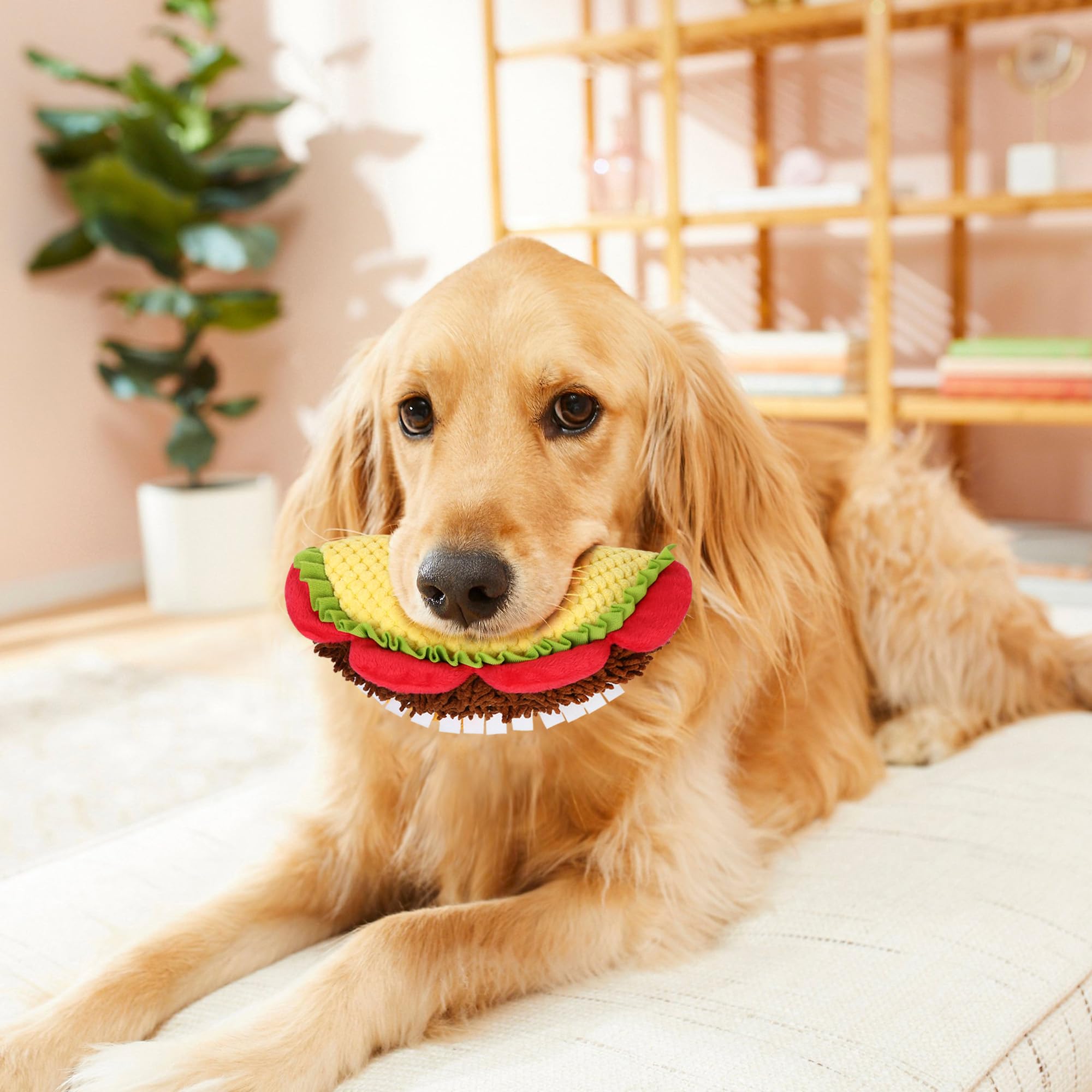 Prime Pets Taco peluche portable pour jeux en déplacement