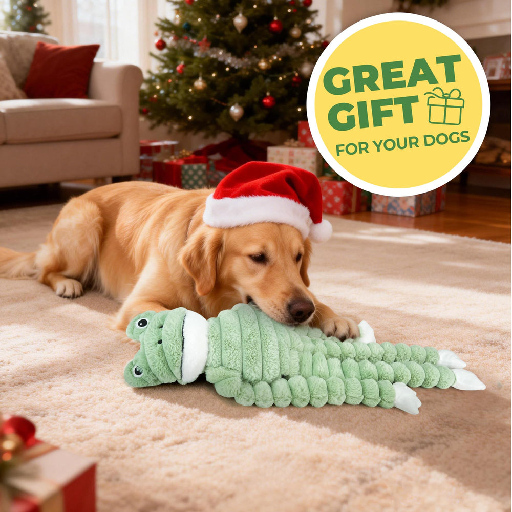Lavable en machine Prime Pets, jouet durable pour chiens actifs.
