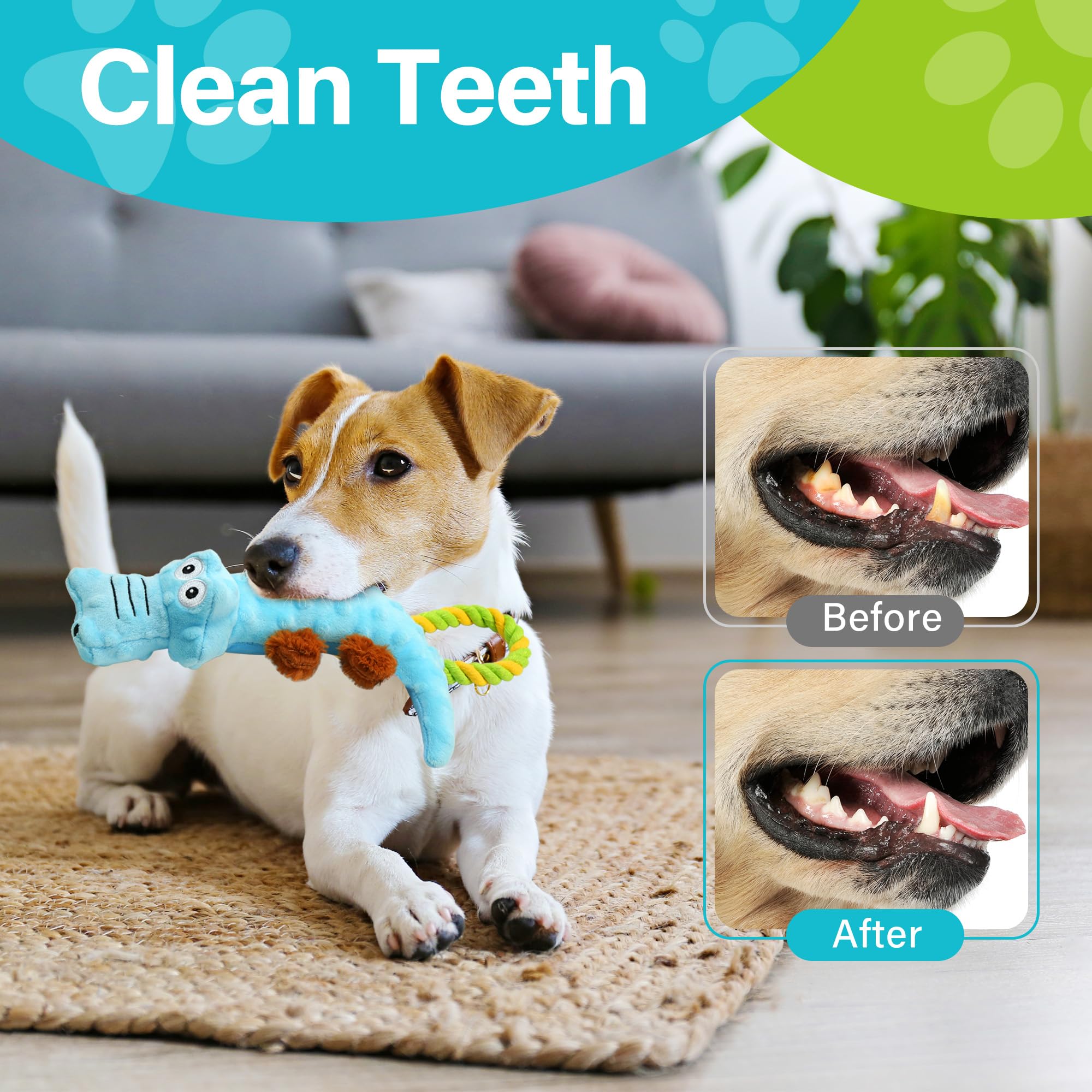 Prime Pets nettoyage léger des dents et douceur pour les gencives.