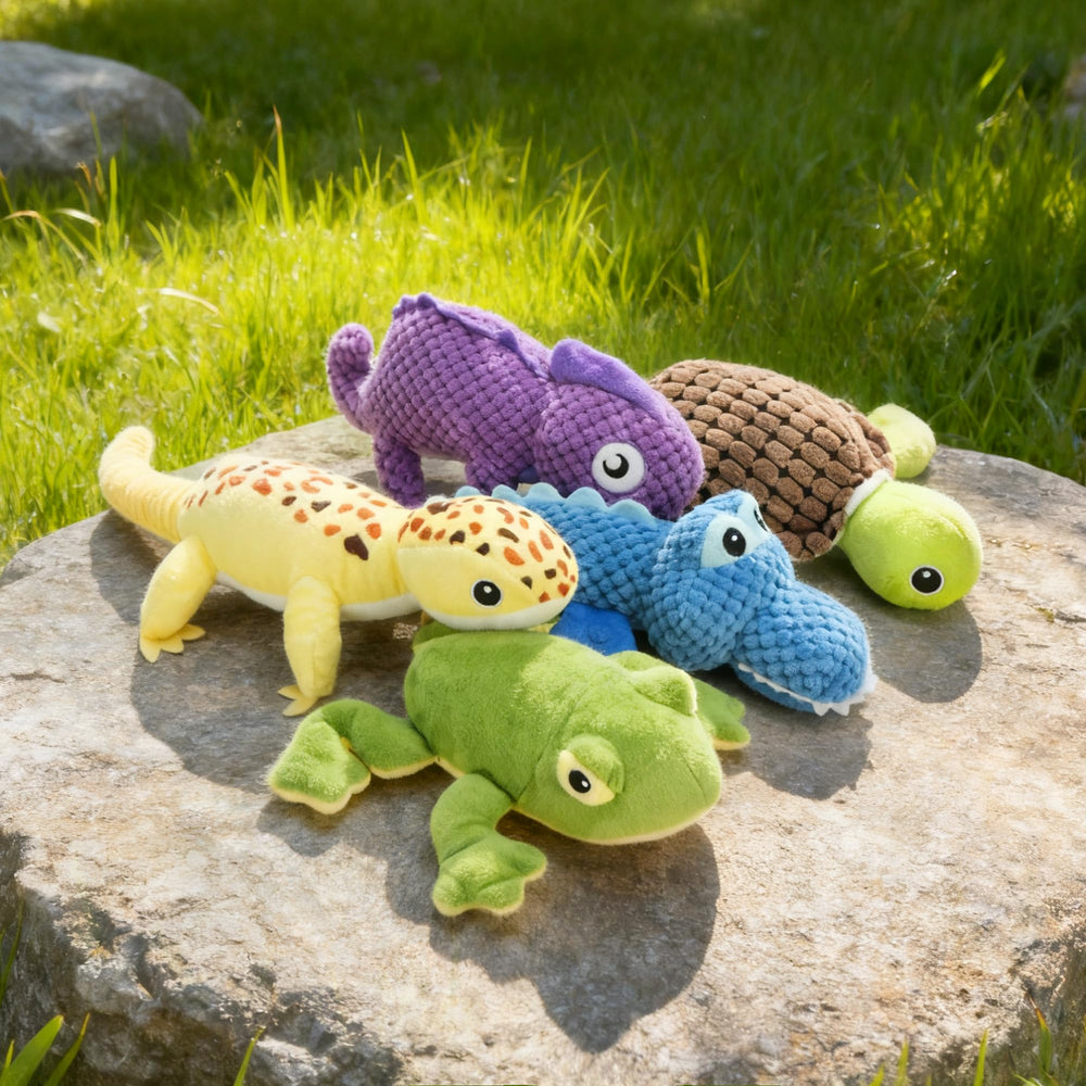 Ensemble Five Toys Prime Pets, variété pour sessions variées de jeu.