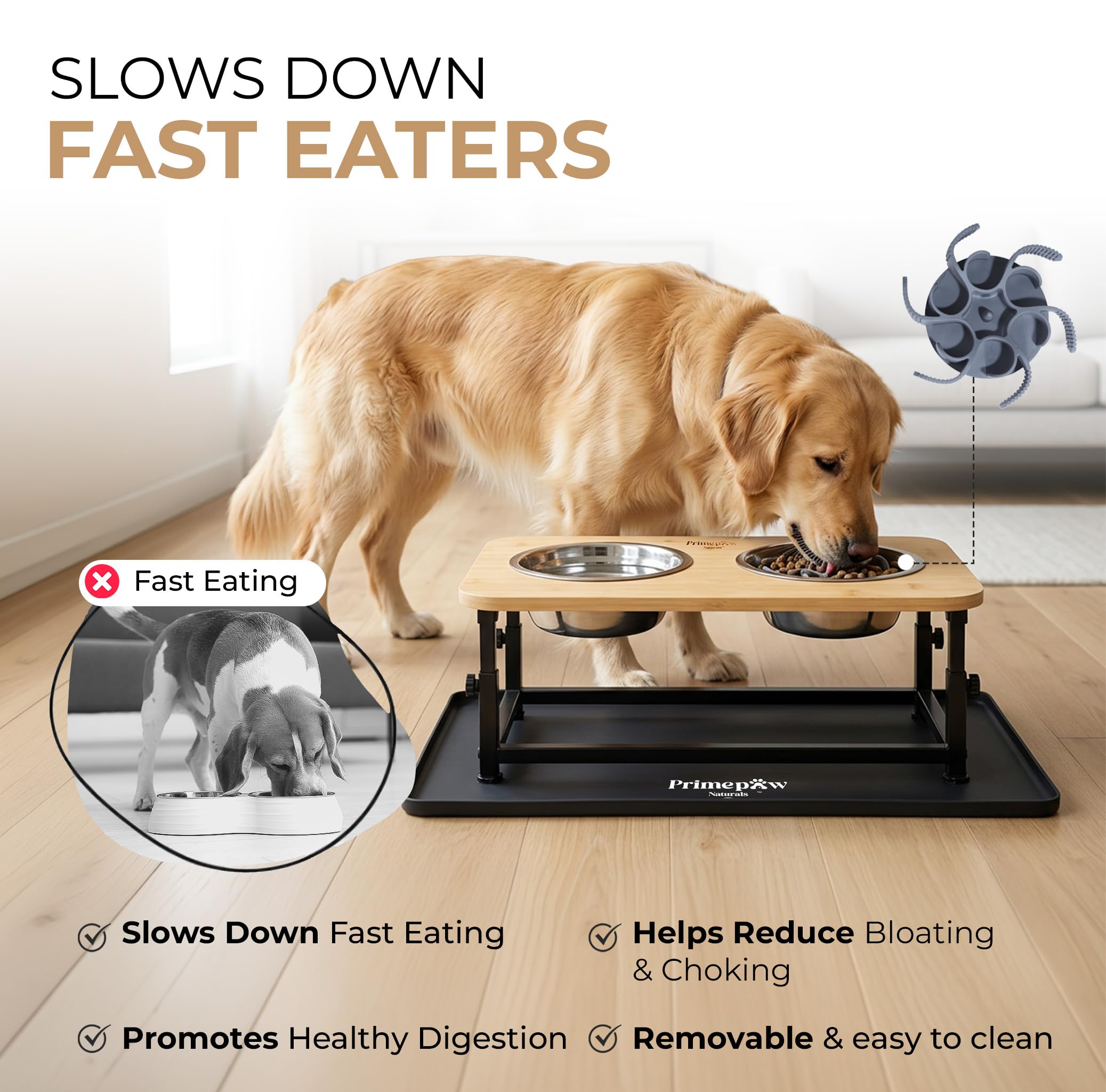 PrimePaw Naturals insert lent pour manger lentement et mieux contrôler les portions.