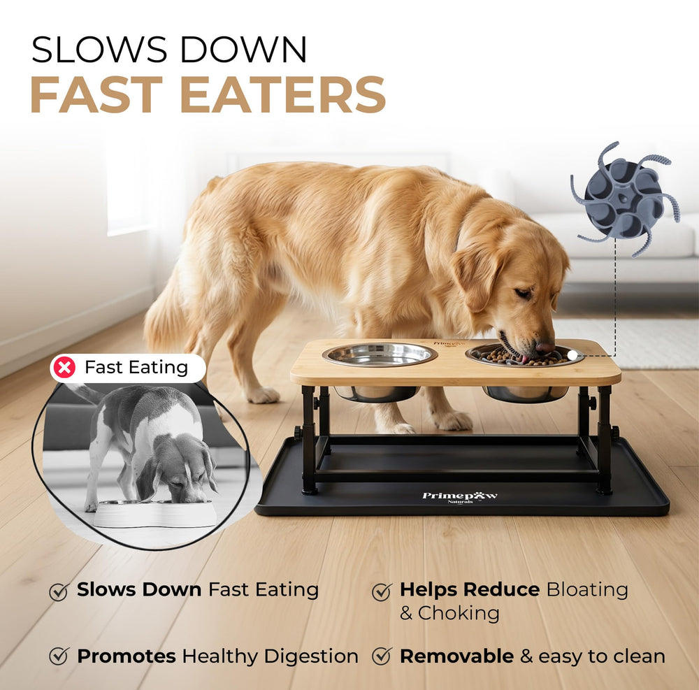 PrimePaw Naturals insert lent pour manger lentement et mieux contrôler les portions.