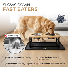 PrimePaw Naturals insert lent pour manger lentement et mieux contrôler les portions.