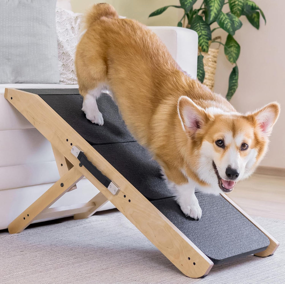 PRIORPET Rampe pour canapé en bois naturel avec surface antidérapante, accès sûr