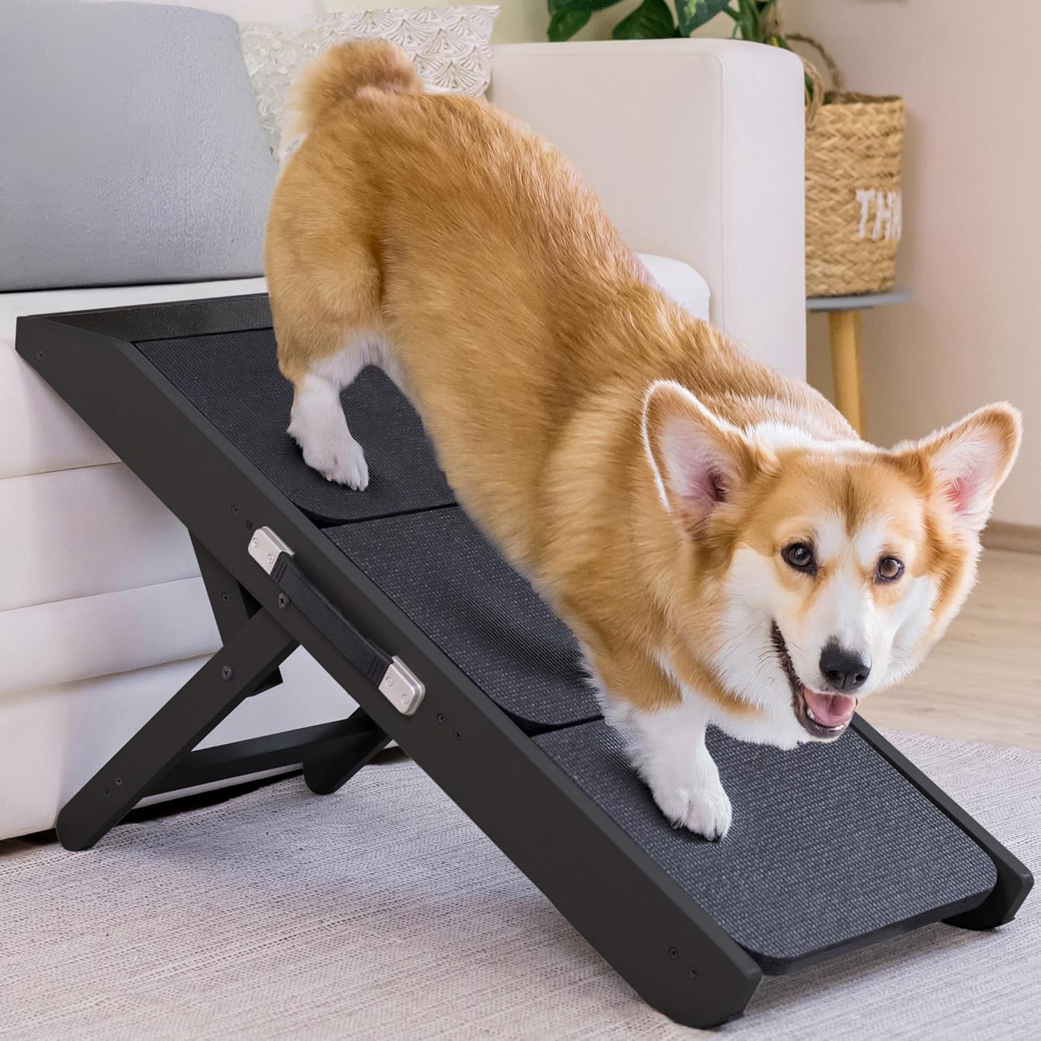 Rampe PRIORPET pour chien sur canapé, accès sûr et confortable.