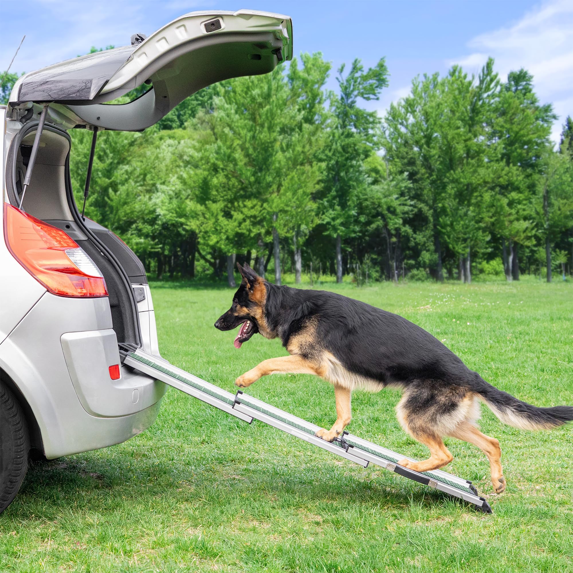 Priorpet rampe chien clip securite — évite le déploiement accidentel.