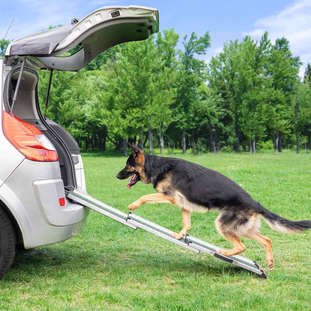 Priorpet rampe chien clip securite — évite le déploiement accidentel.