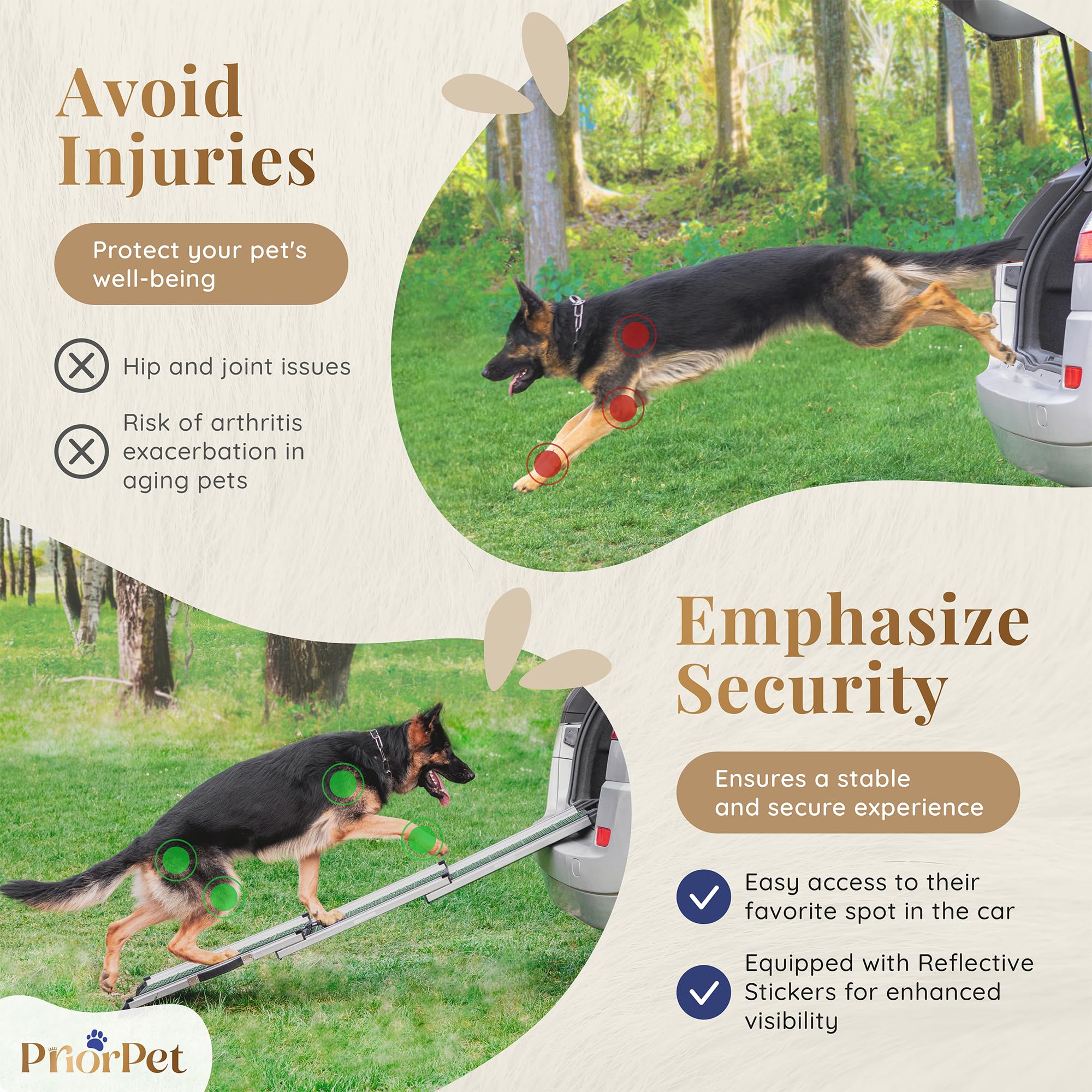 Priorpet rampe chien compacte pliante — rangement facile dans le coffre.