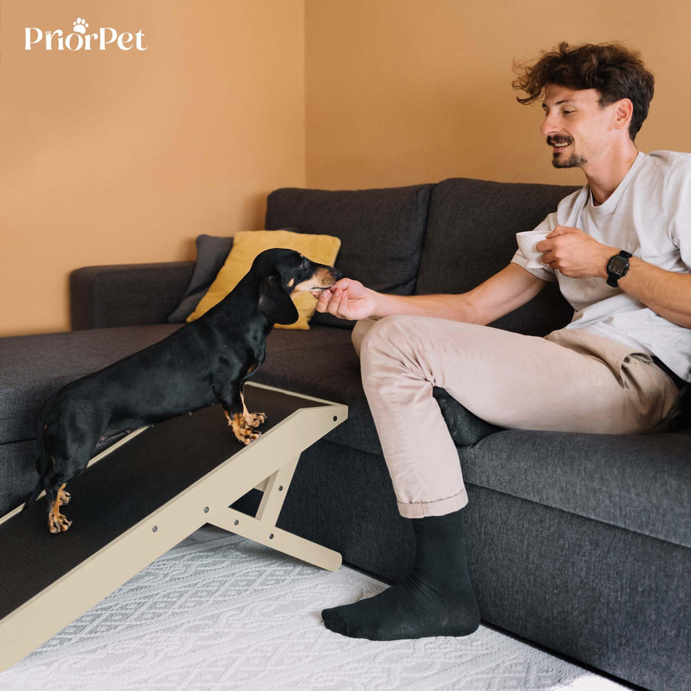 PriorPET rampe-hauteurs-disponibles: cinq options d'ajustement.