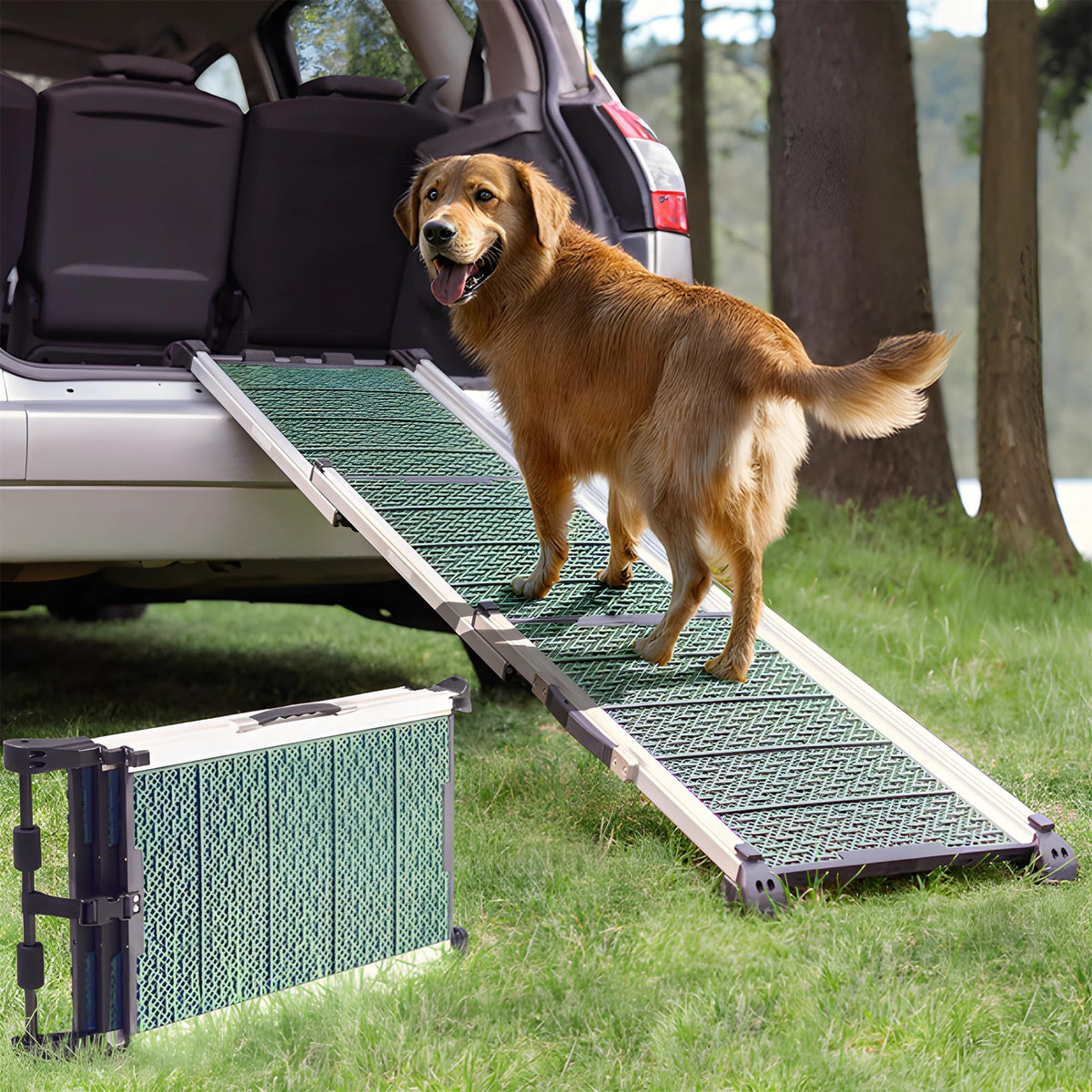 Priorpet rampe chien voiture ouverte — montée facile et sûre pour grands chiens.