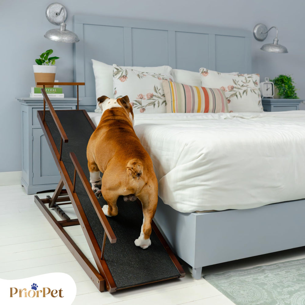 PRIORPET rampe-lit-largeur-38cm base stable et sûre.
