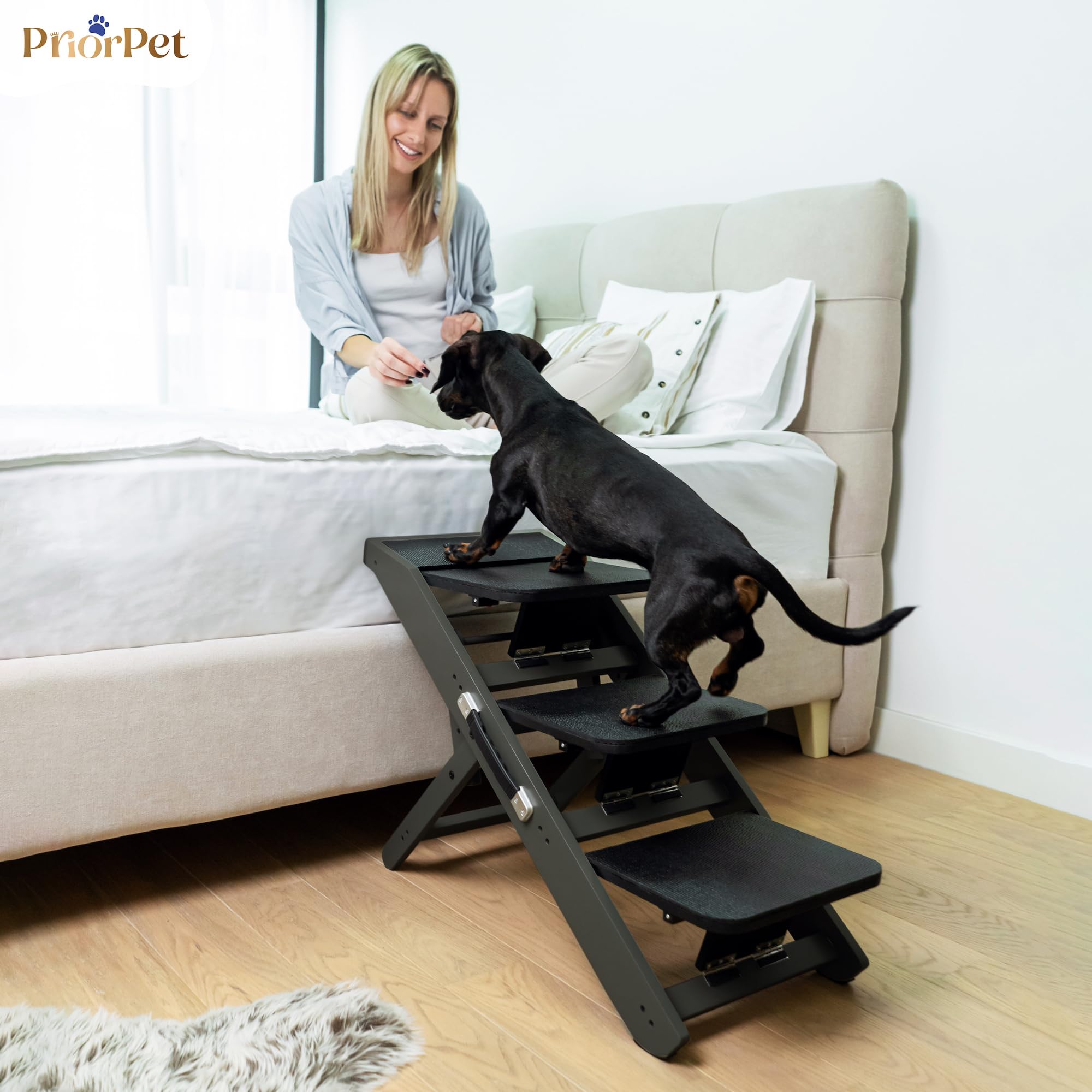 Usage pour petits chiens avec la rampe PRIORPET.