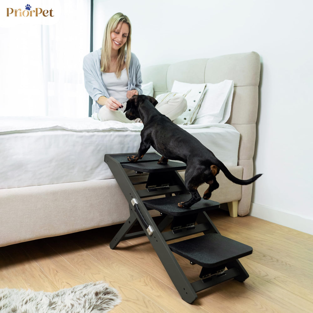 Usage pour petits chiens avec la rampe PRIORPET.