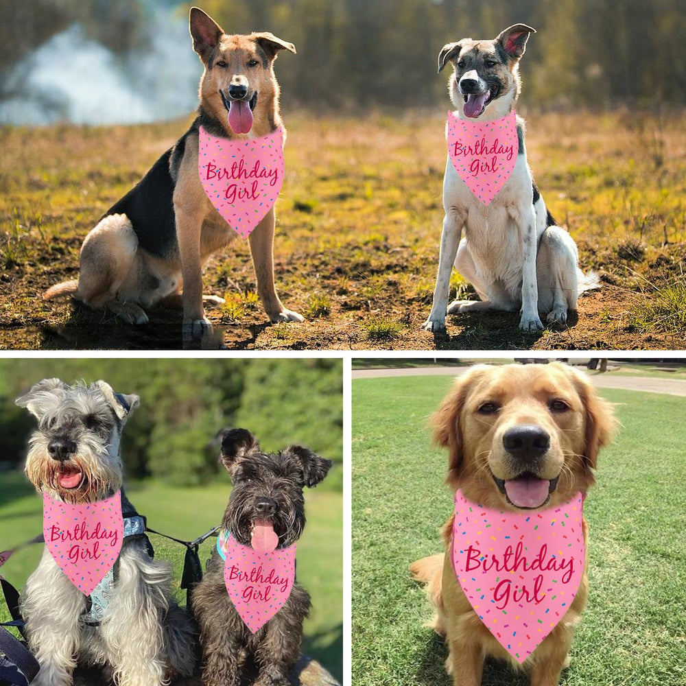 Bandana PRITIWEL pour fête rose, idéal pour célébrations et mises en scène.