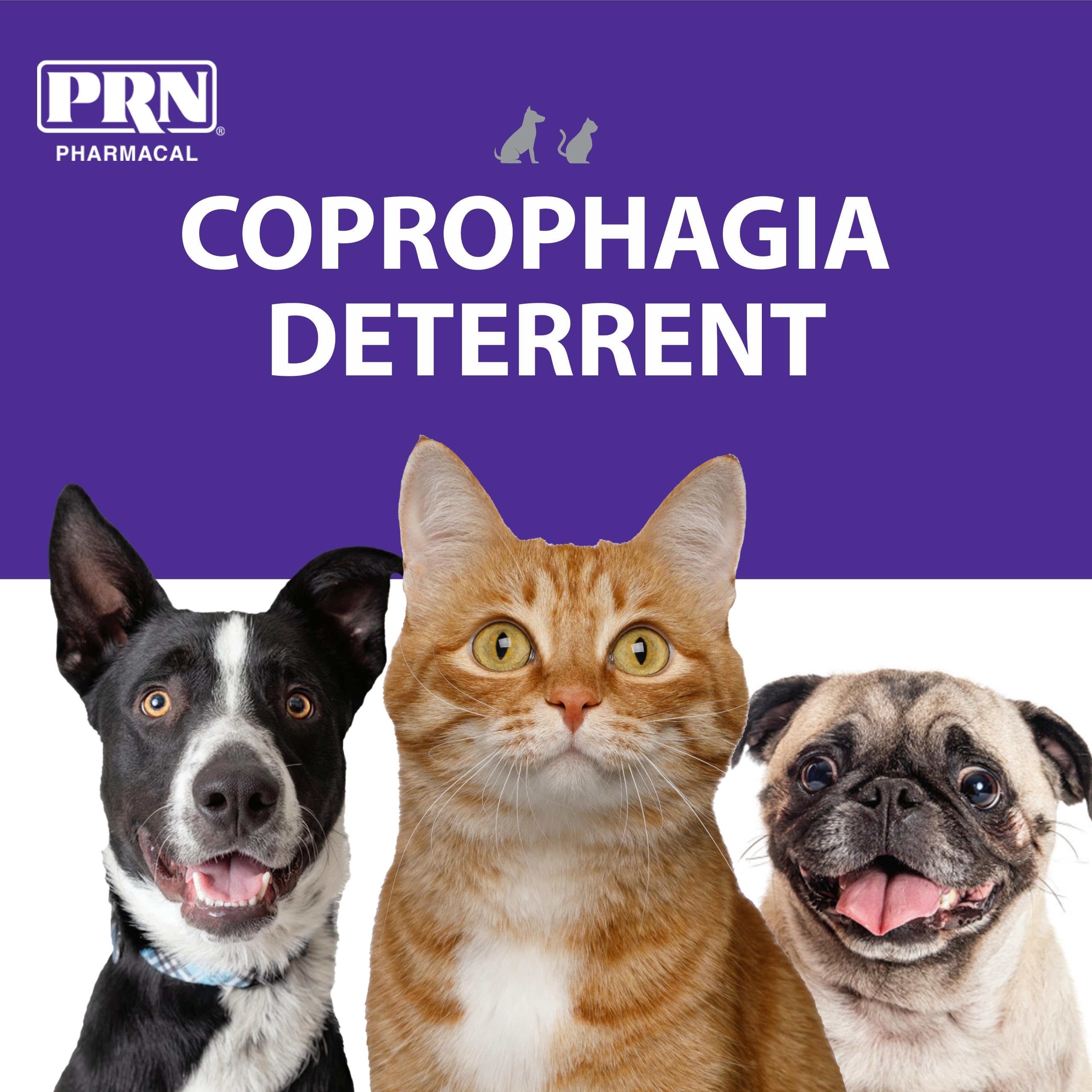 PRN CoproBan saveur rosbif, appétence et prise facile.