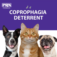 PRN CoproBan saveur rosbif, appétence et prise facile.