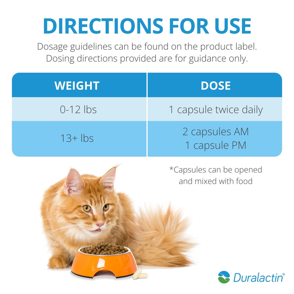 PRN Duralactin Feline – soutient l’activité normale et le jeu des chats.