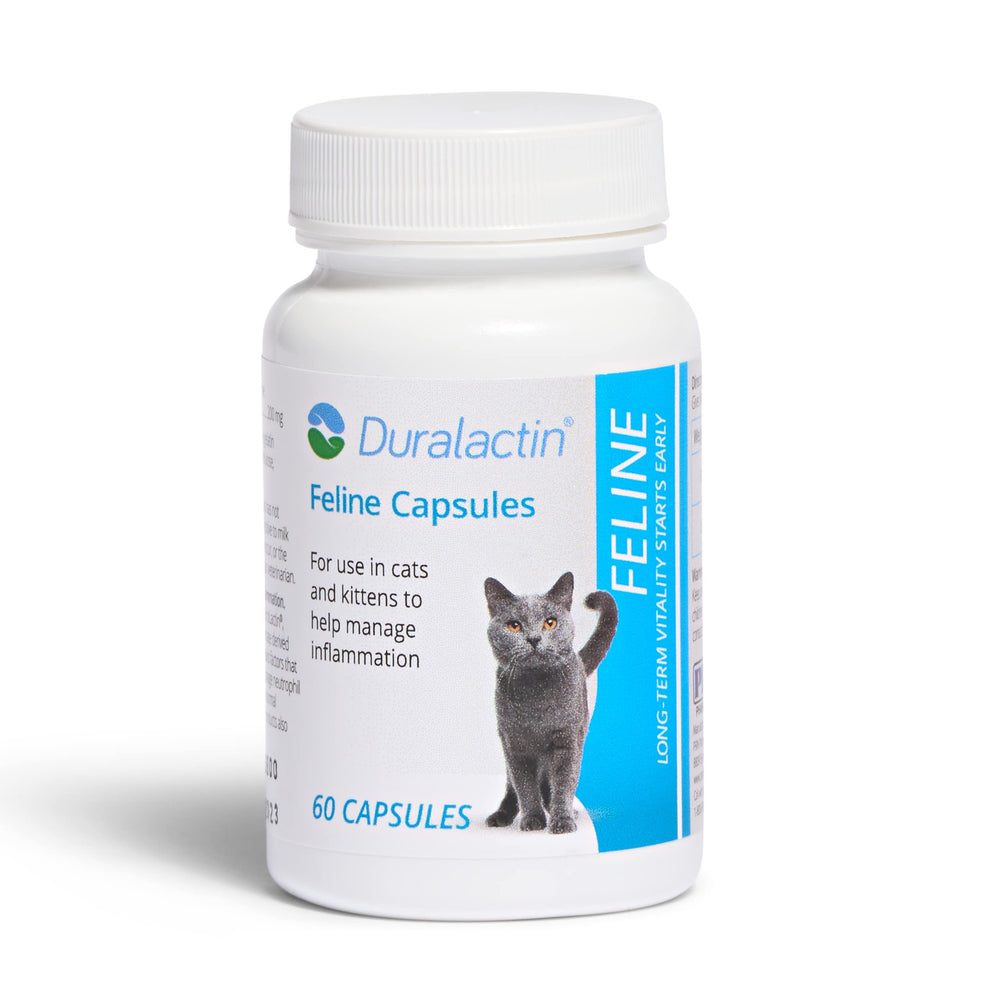 PRN Duralactin Feline – capsules gélatineuses soutiennent les articulations des chats.