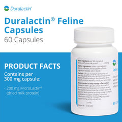 PRN Duralactin Feline – Microlactin pour la mobilité des félins.