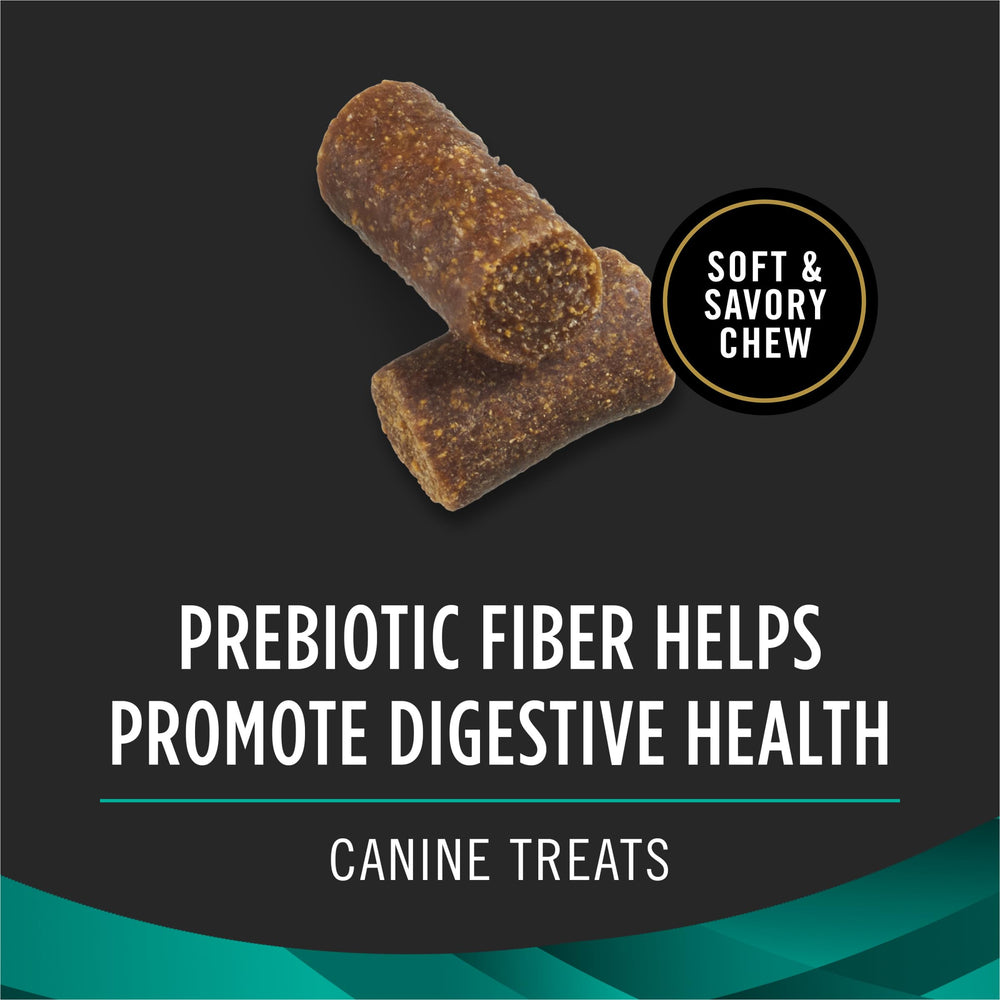 Gâteries molles pour chien, texture moelleuse et appétissante