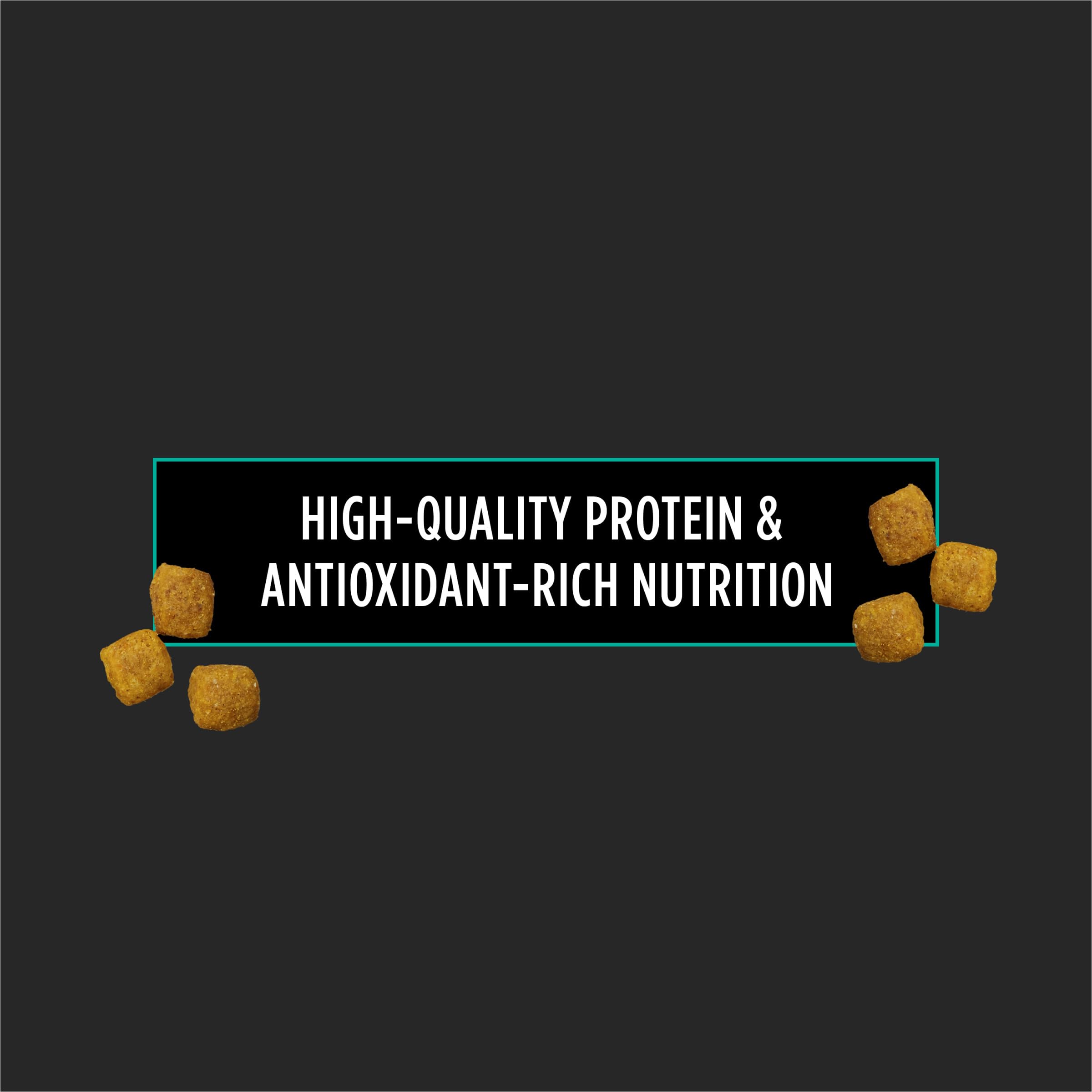 Pro Plan Veterinary Diets EN Gastroentérique – gros plan sur les croquettes, texture adaptée.