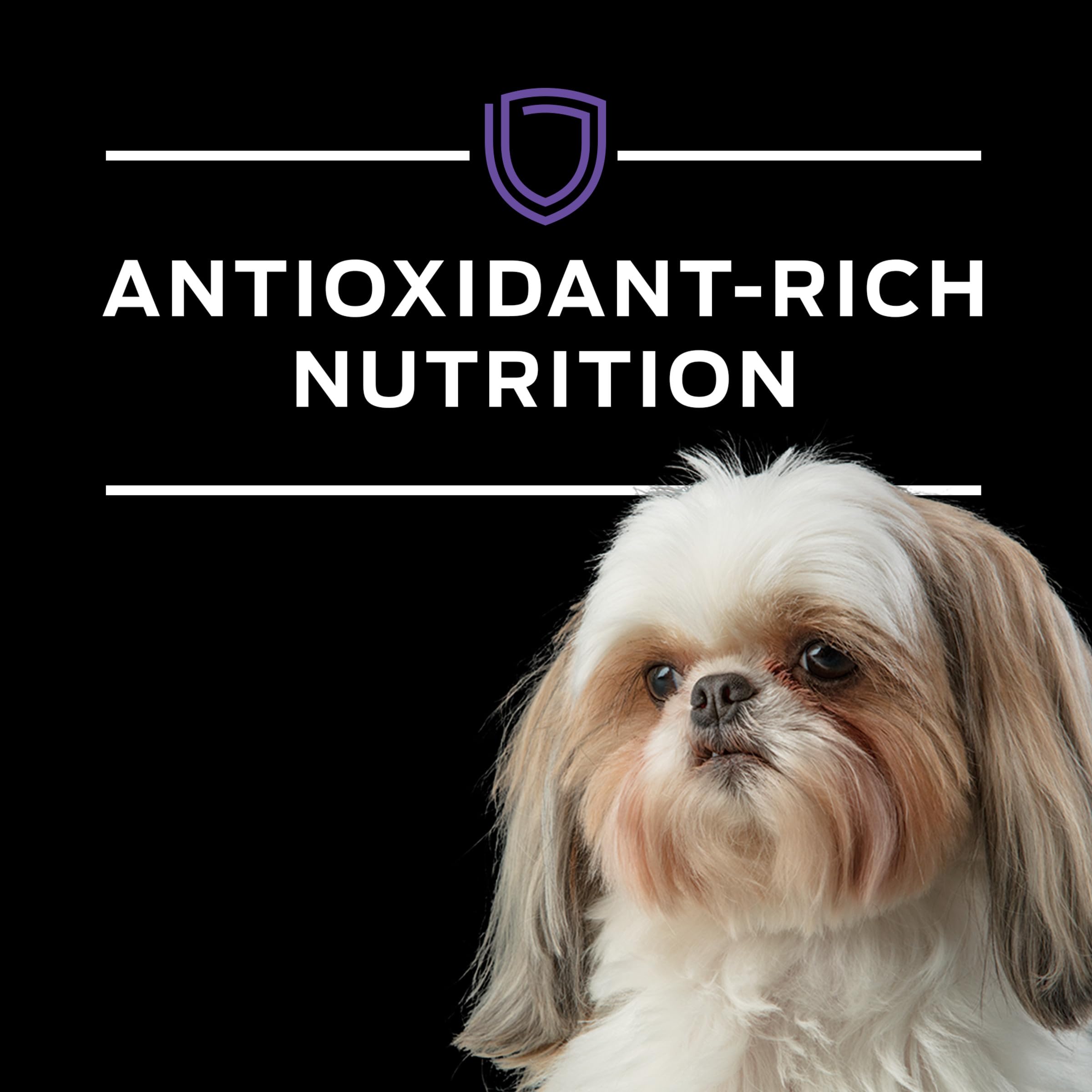 Chien mange Pro Plan HA, exemple d'utilisation quotidienne.