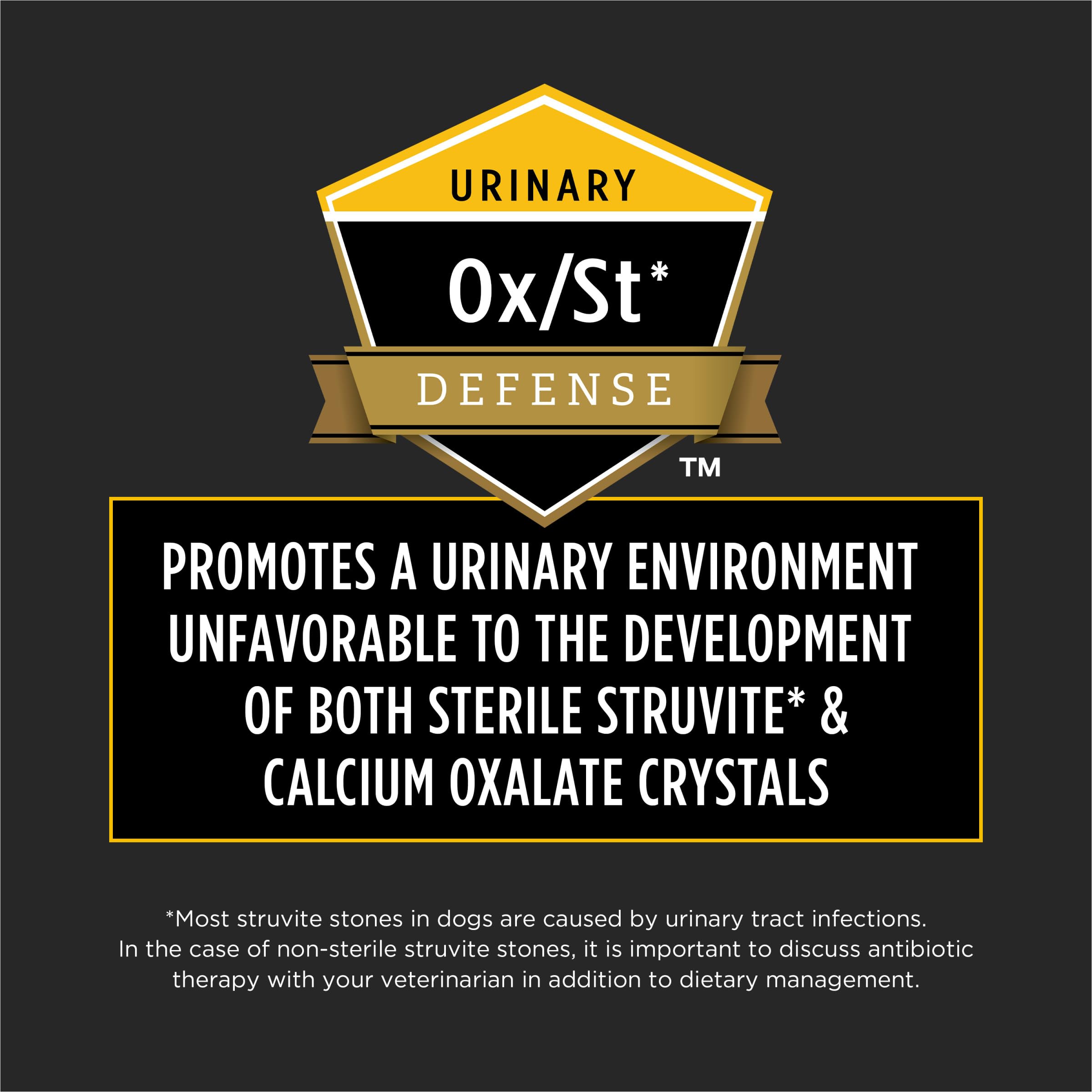 Ingrédients réels et nutrition antioxydante pour le système immunitaire