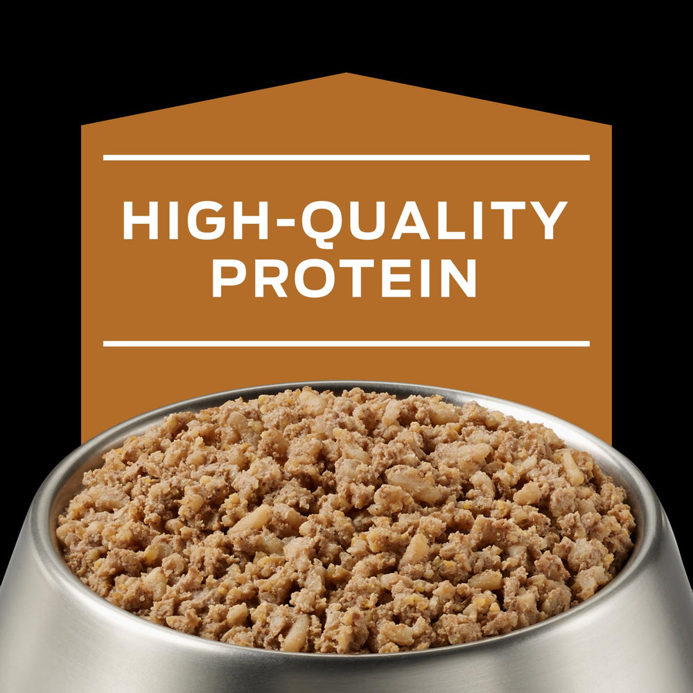 Pro Plan Veterinary Diets NF — conserve chien, faible teneur en sodium.