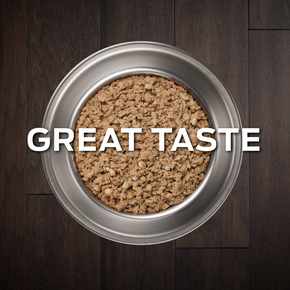 Pro Plan Veterinary Diets NF — pâtée humide canine, texture agréable et prête à servir.